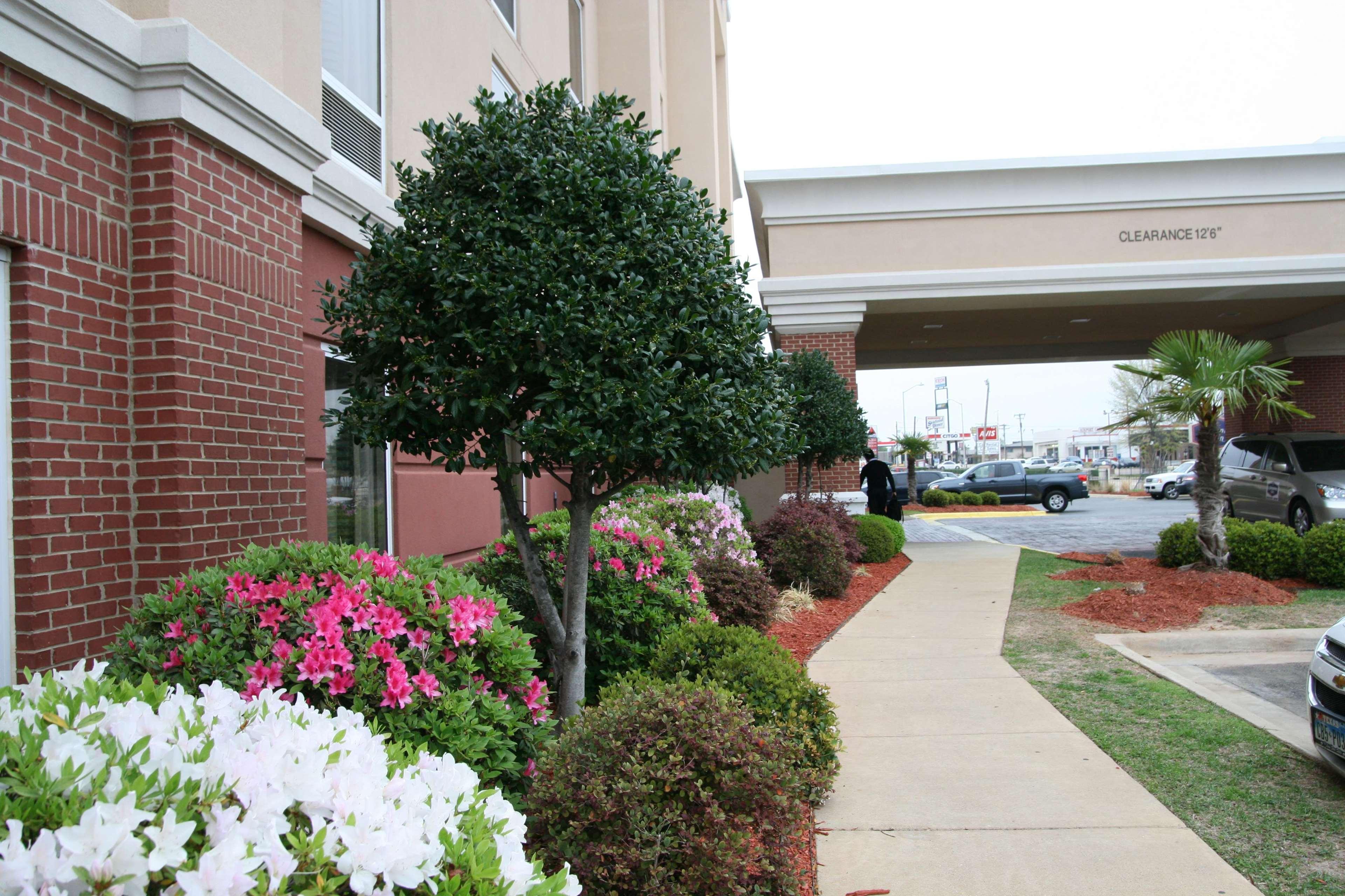 Hampton Inn Shreveport-Airport Dış mekan fotoğraf